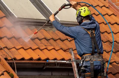 Démoussage et hydrofuge de toiture à Saint-Georges-Blancaneix